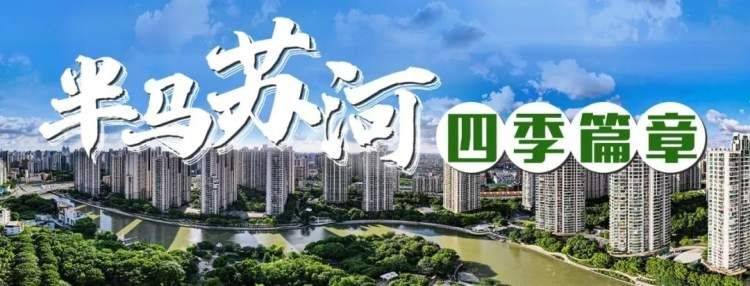 苹果xr两网版
:桩基先行，普陀以精准化全流程服务，助力建设开工加速度！