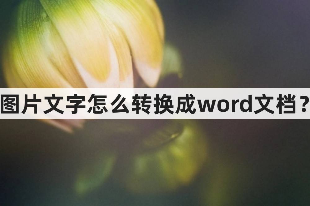 苹果版word 图片裁剪
:图片文字怎么转换成word文档？这款手机软件就可以