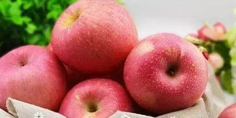 citra有苹果版吗:早上可以空腹吃苹果吗，吃苹果有何好处，什么时间吃好