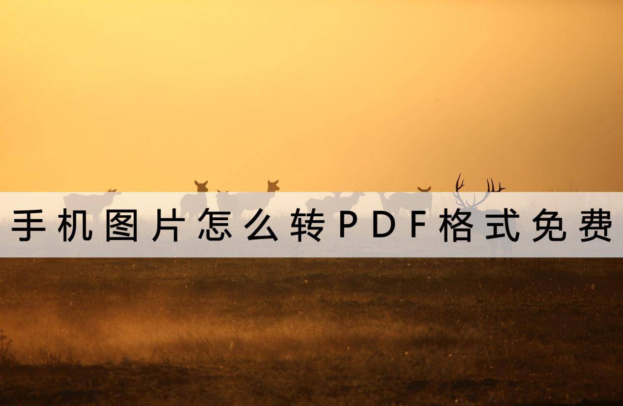 手机图片:手机图片怎么转PDF格式免费？不收费的好香啊