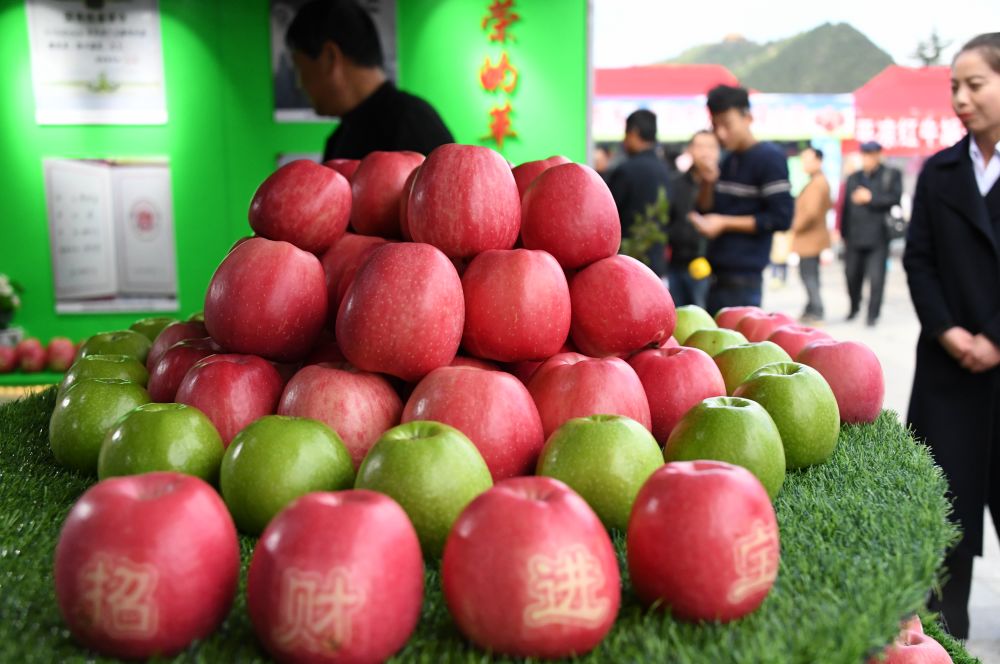 泾川苹果最新新闻苹果se2最新官方新闻-第2张图片-太平洋在线下载