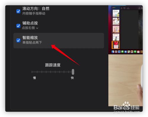 苹果网页版鼠标怎么设置苹果鼠标怎么滚动windows-第1张图片-太平洋在线下载