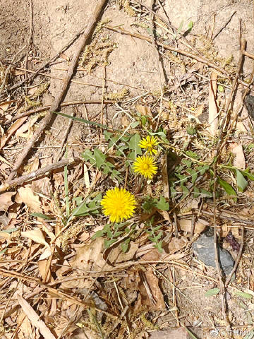 花椒下载苹果版花椒直播苹果版下载-第2张图片-太平洋在线下载