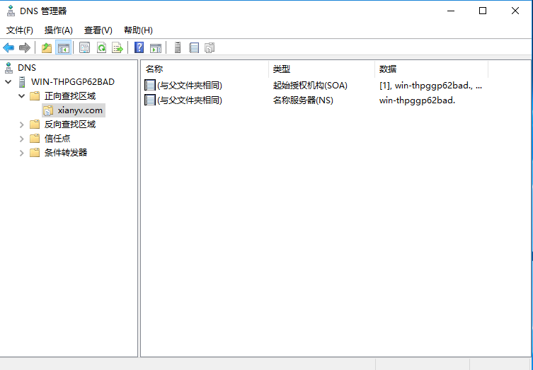 客户端验证DNS强制客户端DNS代理-第1张图片-太平洋在线下载