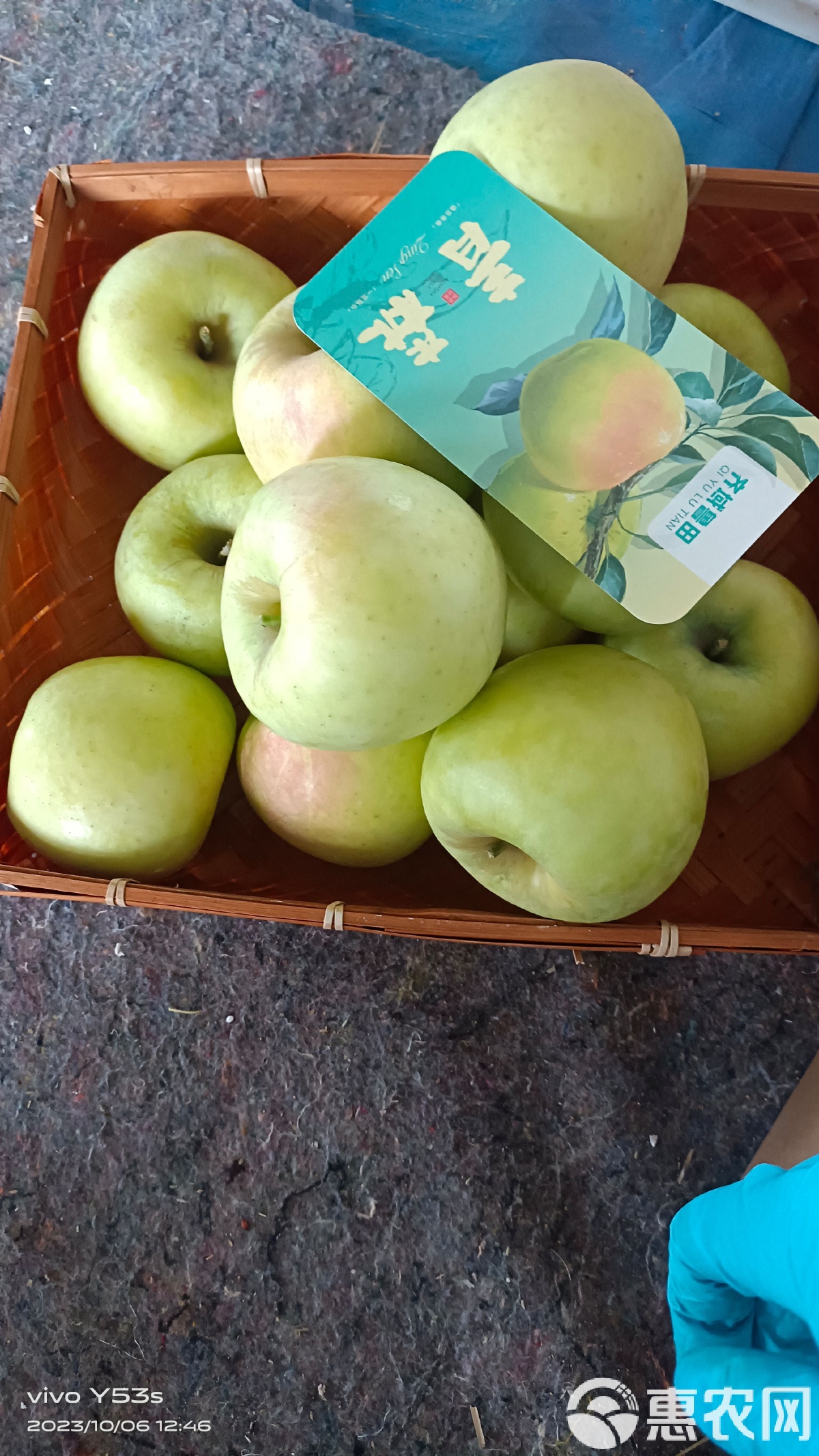 青岛版苹果(青岛applestore)-第3张图片-QuickQ官网