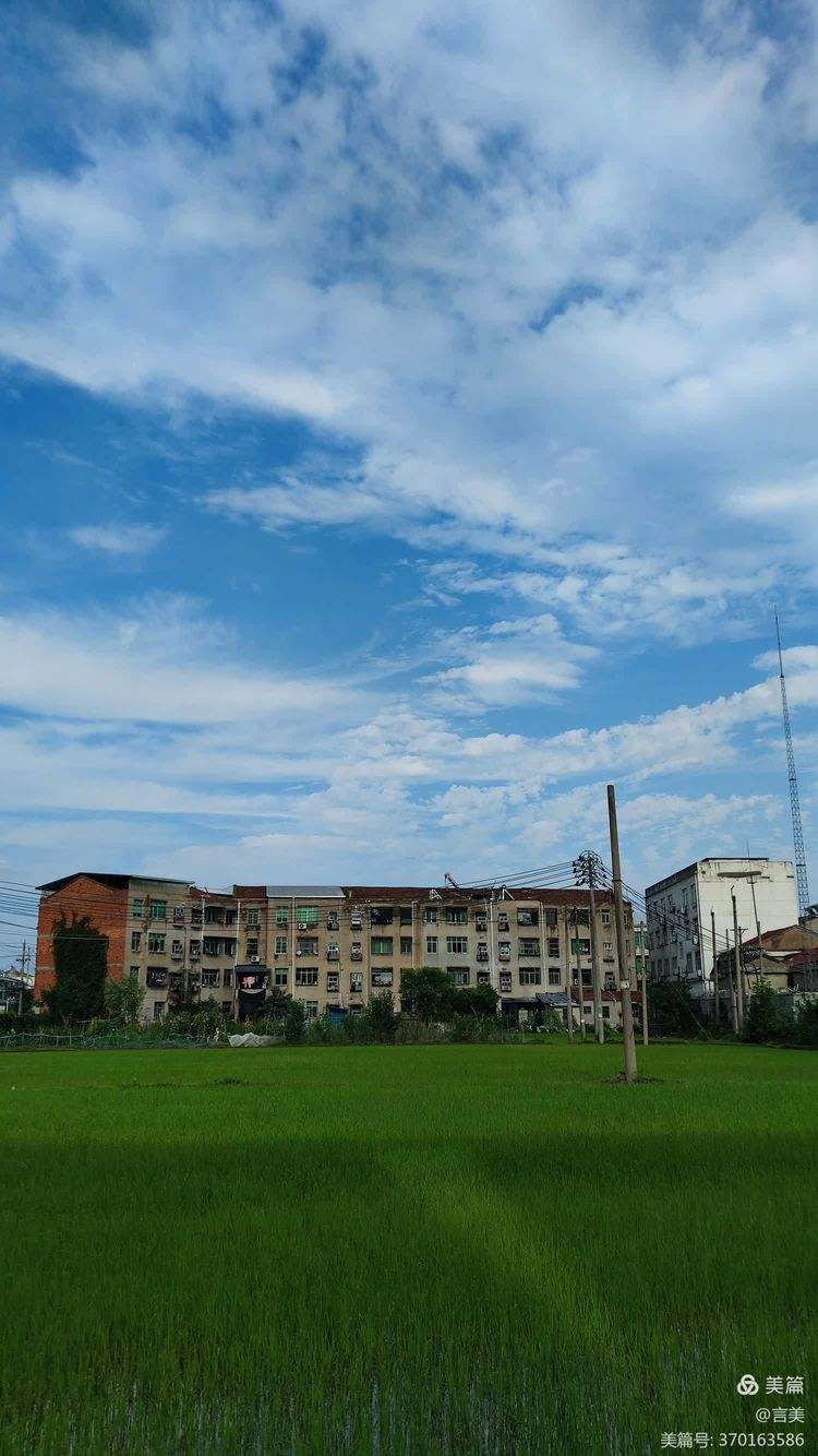 雨过初晴手机版(雨过初晴的情侣名)-第4张图片-QuickQ官网