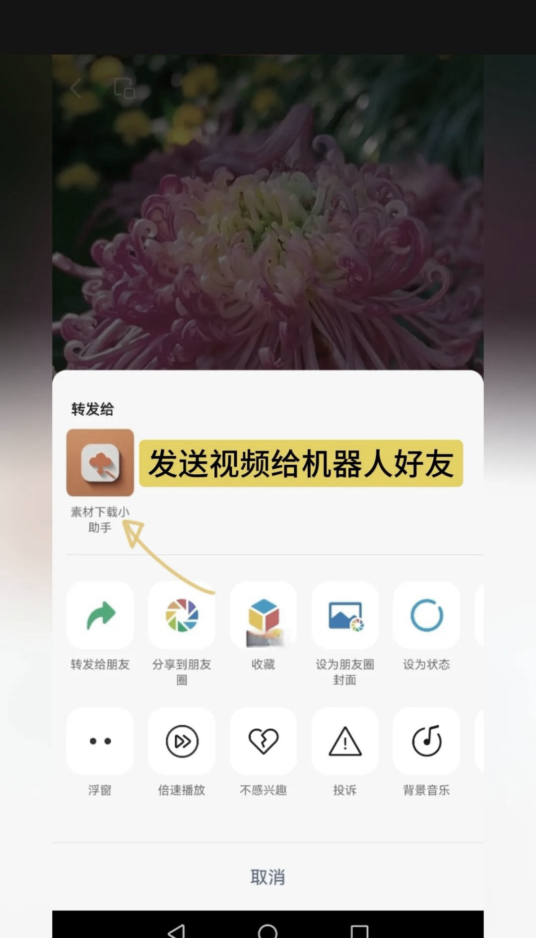 视频号手机版怎么下载(视频号手机版怎么下载到相册)-第5张图片-QuickQ官网