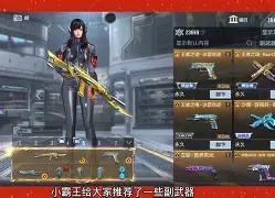 手机版副武器推荐大全(副武器加不加枪的攻击力)-第3张图片-QuickQ官网