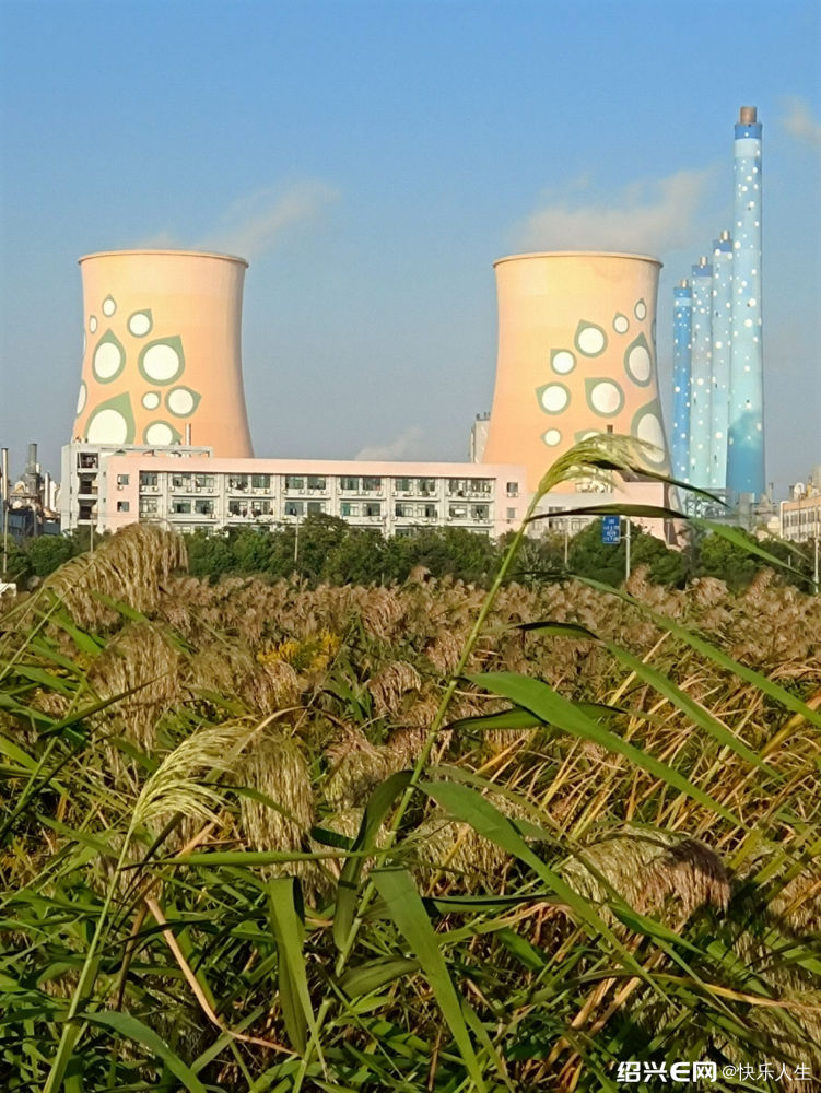 绍兴e网手机版(绍兴e网最新消息)-第4张图片-QuickQ官网 绍兴e网手机版(绍兴e网最新消息)-第4张图片-QuickQ官网