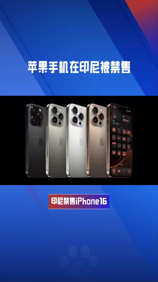 印尼版苹果算什么版(印尼版是什么意思)