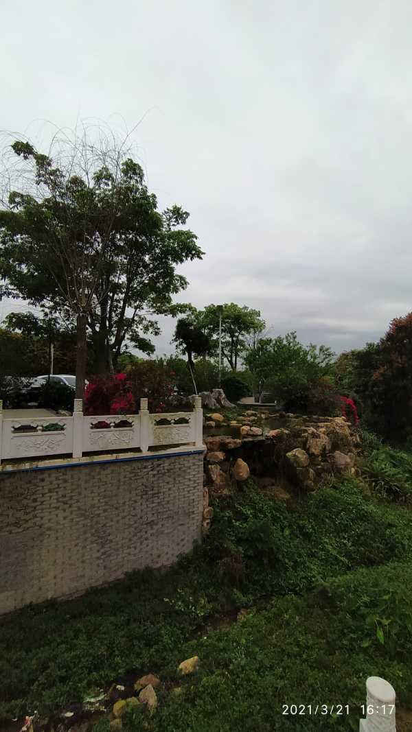 桃花小镇怎么下载手机版(桃花小镇怎么下载手机版安装)-第4张图片-QuickQ官网