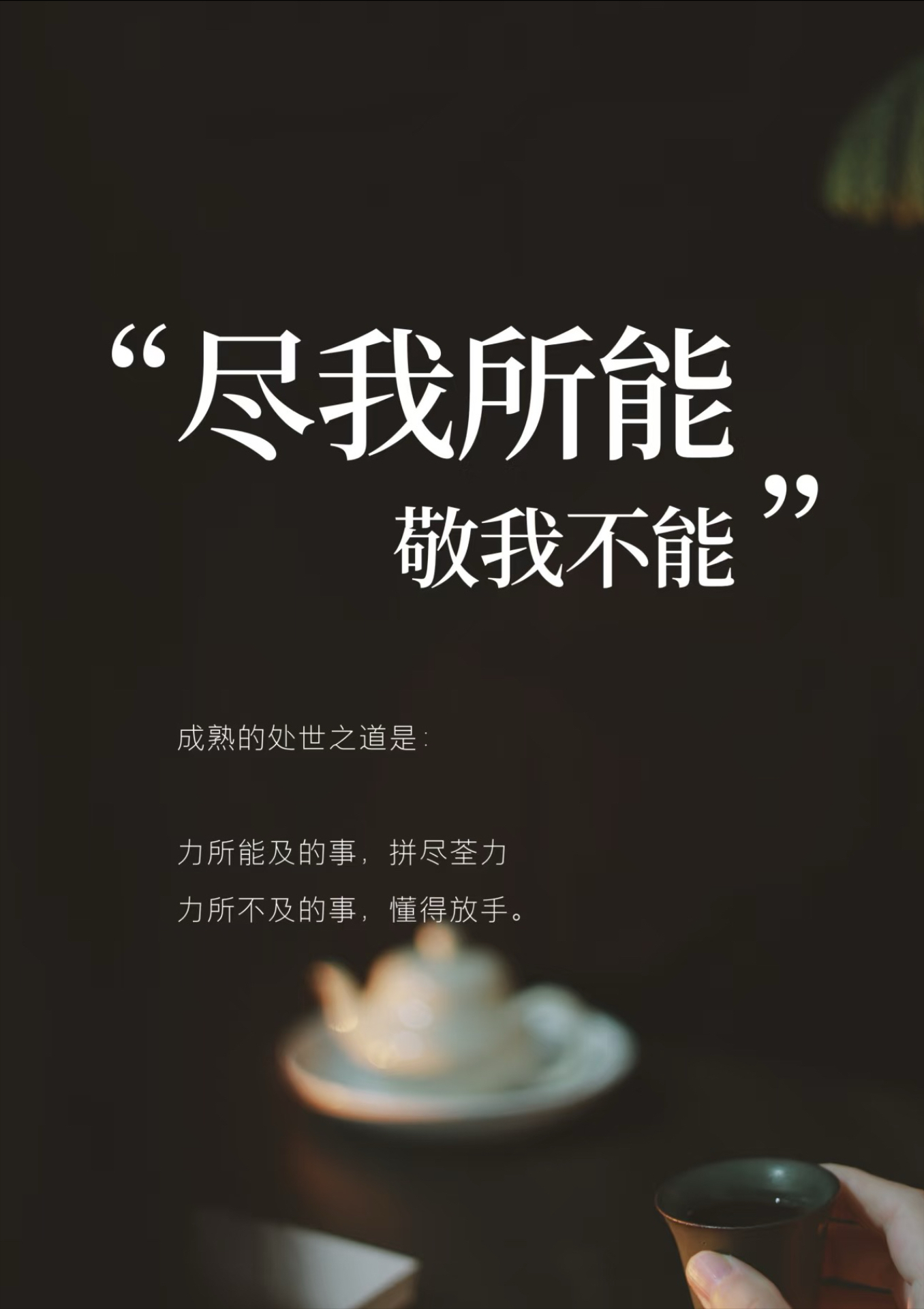 手机版全息投影说说文字(手机版全息投影说说文字怎么设置)-第2张图片-QuickQ官网