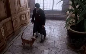 橘猫清理手机版下载(清理君ios旧版)-第4张图片-QuickQ官网